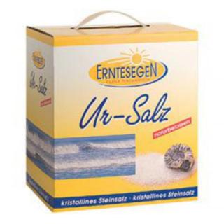 Ur-Salz fein 5kg