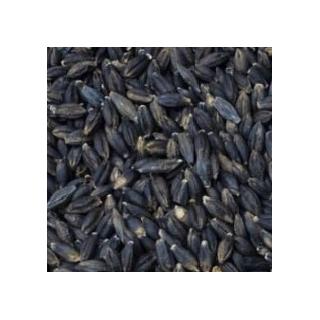 Bio Schwarzgerste ganzes Korn * 1 kg