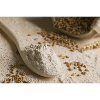 Bio Waldstauden Roggen Vollkornmehl * 1 kg