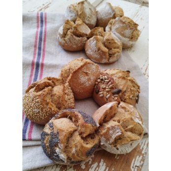 Bio MICRO-feines Weizenvollkornmehl * 2,5 kg